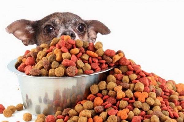 „Chihuahua Ready“ maistas