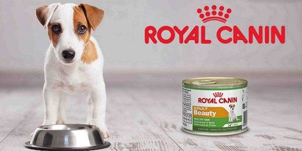 „Royal Canin“ („Royal Canin“)