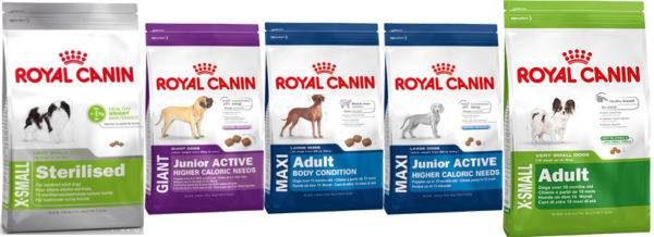 „Royal Canin“ šunų maistas