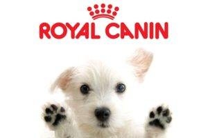 Šunų maistas „Royal Canin“ („Royal Canin“)